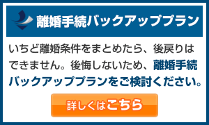 離婚手続バックアッププラン